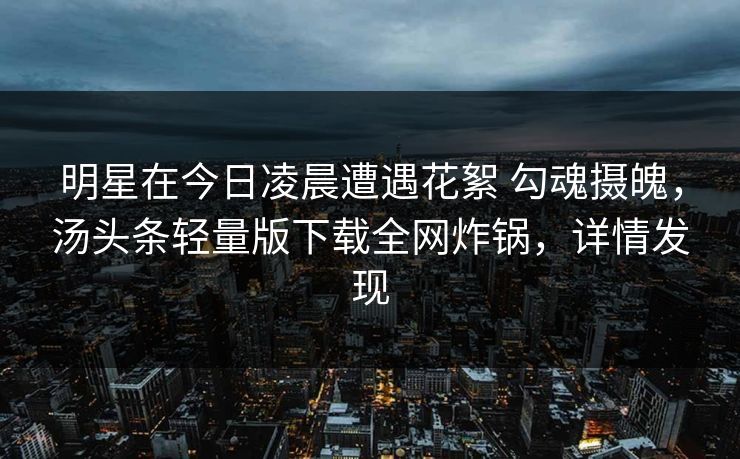 明星在今日凌晨遭遇花絮 勾魂摄魄，汤头条轻量版下载全网炸锅，详情发现